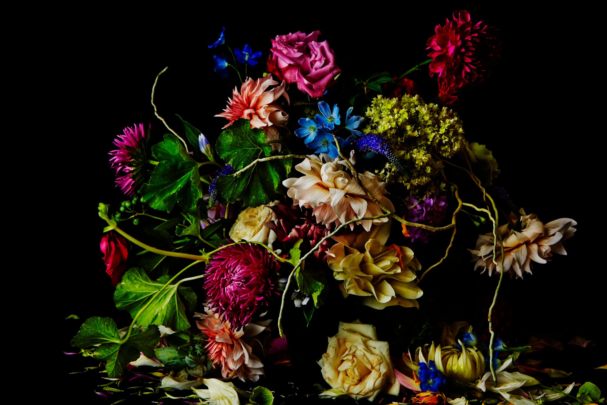 フラワーアーティスト集団AMKK 死生観がテーマの花束や実験的作品で
