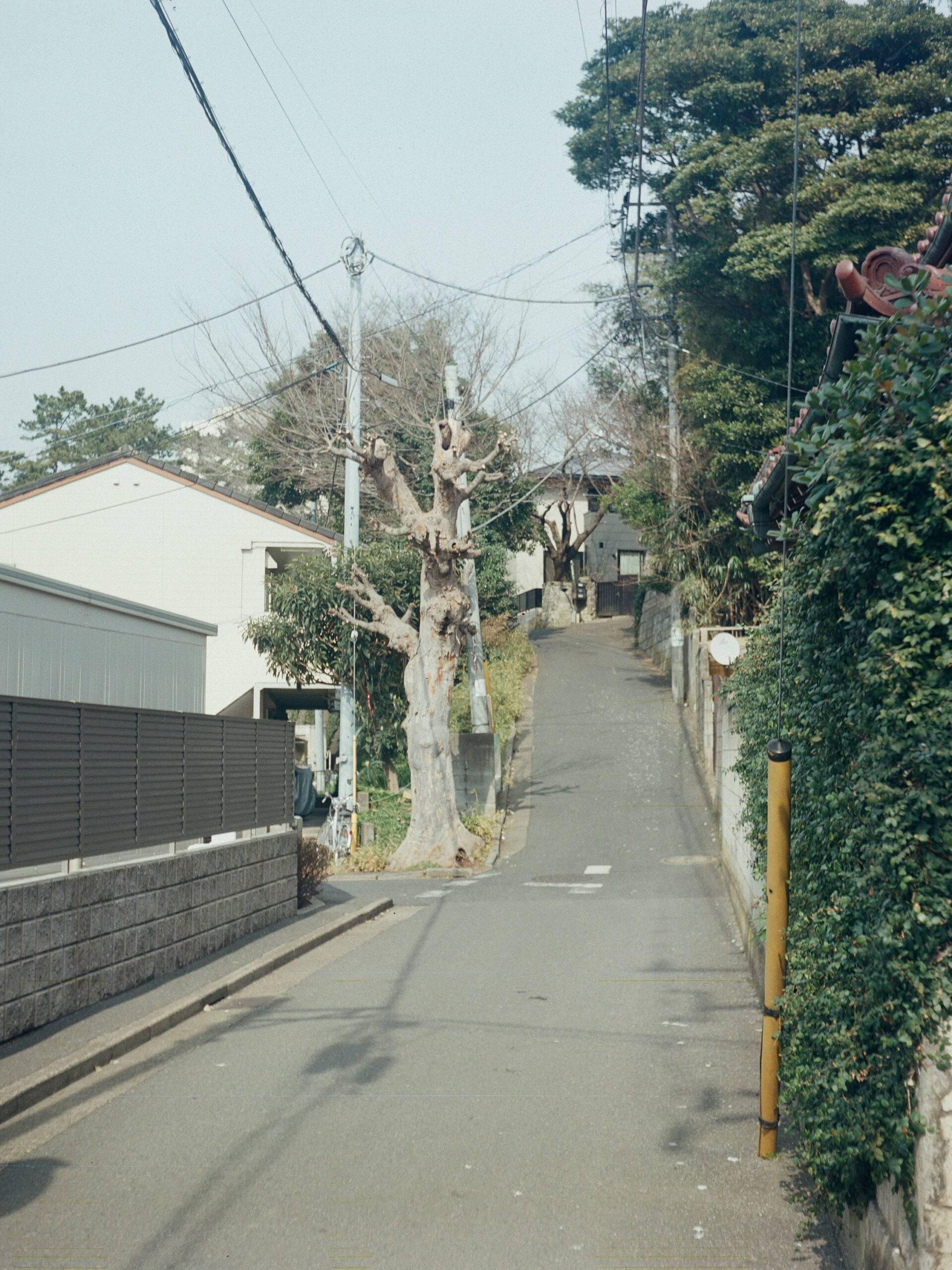 連載「The View My Capture」Vol.8　写真家・富澤大輔が写し出す、いつもの日常、初めて見る日常