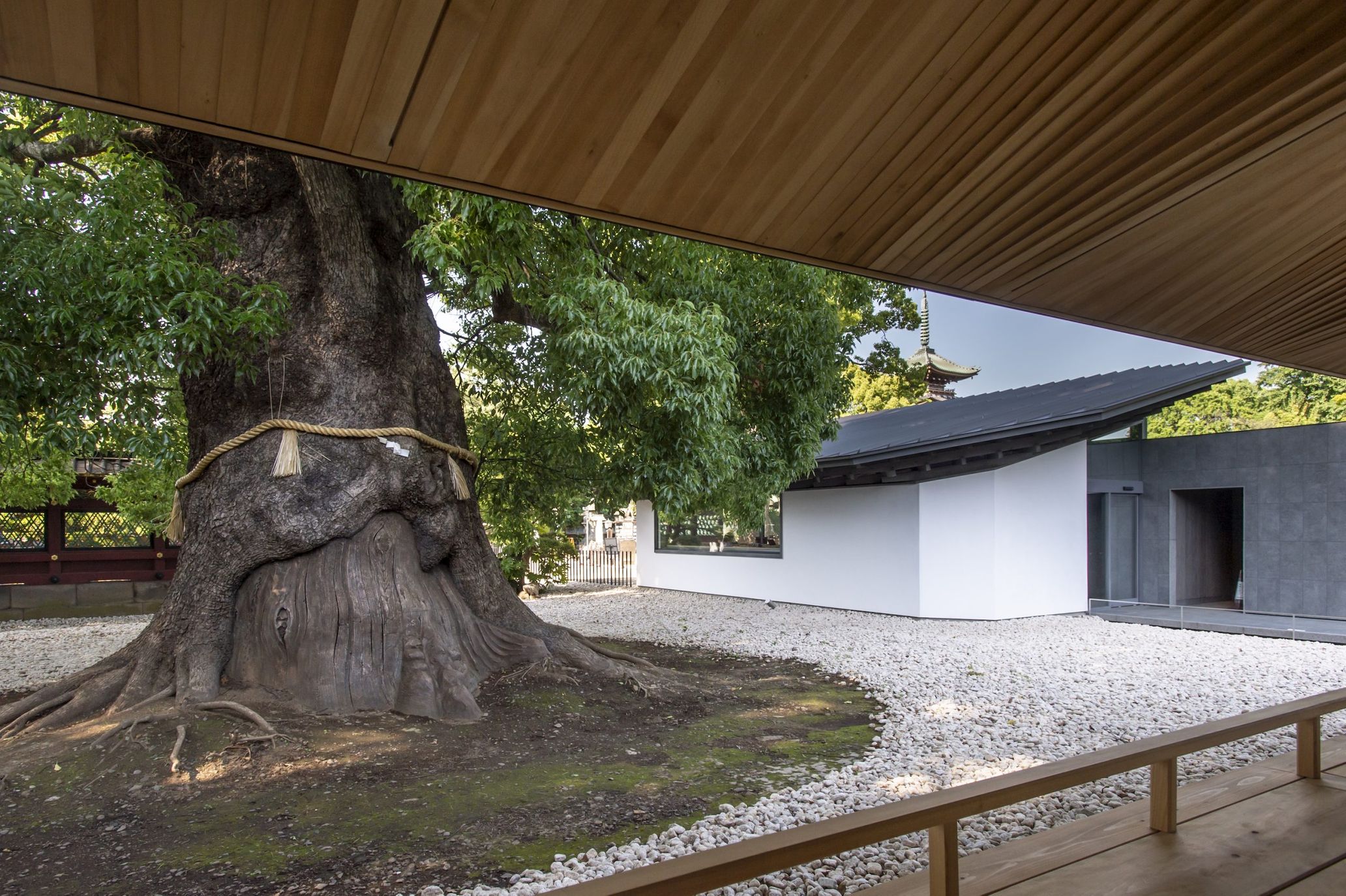 The ‘Tashinami’ of Free Spirits Vol.10 Architect Hiroshi Nakamura’s New Masterpieces Embrace Infinite Prayer