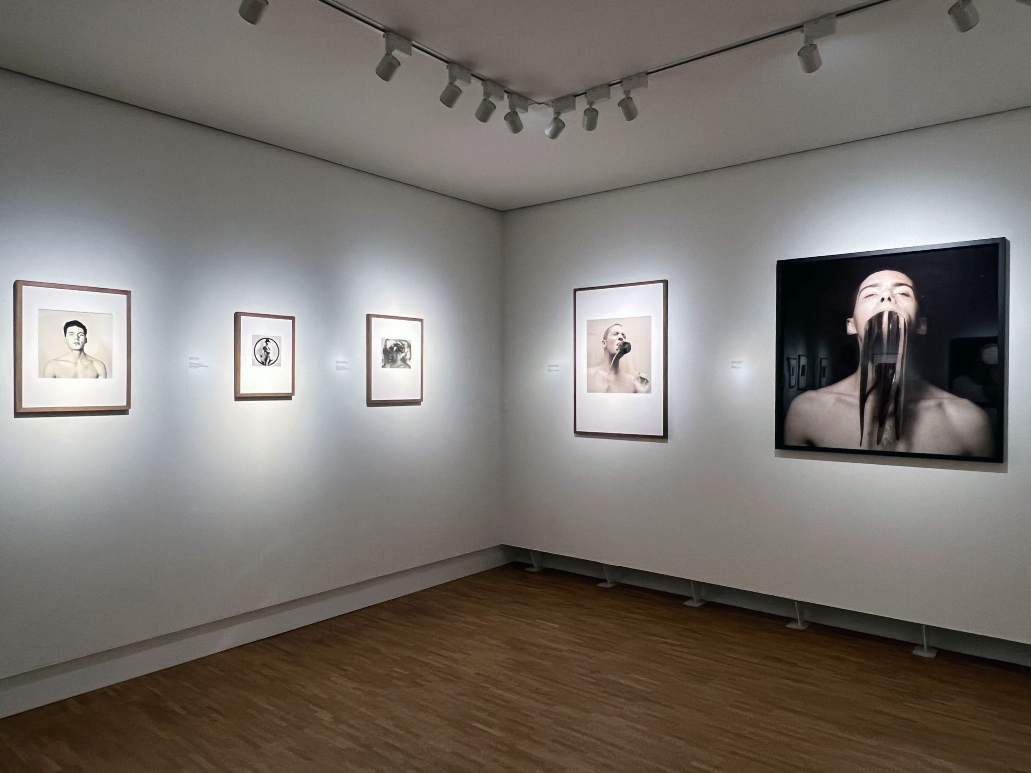 Over 50 of Blanca’s photographs were collected for this exhibition from various sources, but they were biased towards part of his career and did not provide a complete overview of his lifetime work. This may have something to do with the fact that museums and collectors have lost interest in his work since a certain incident in 1994.