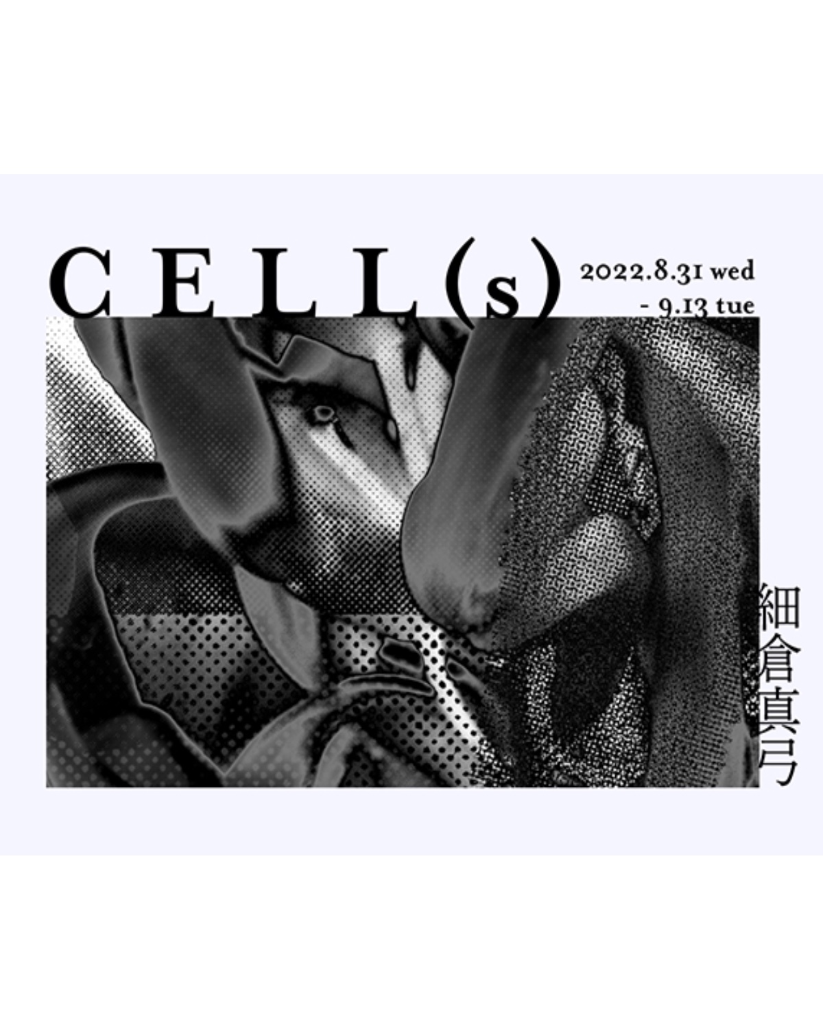 写真家の細倉真弓が個展「CELL(s)」を開催 - TOKION