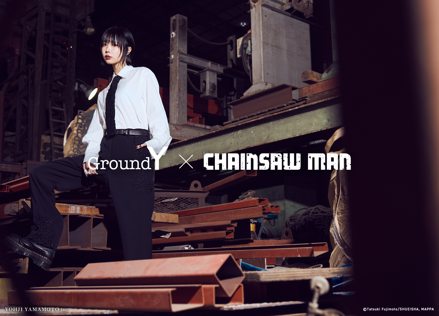 チェンソーマン 12 [Chainsaw Man 12] by Tatsuki Fujimoto