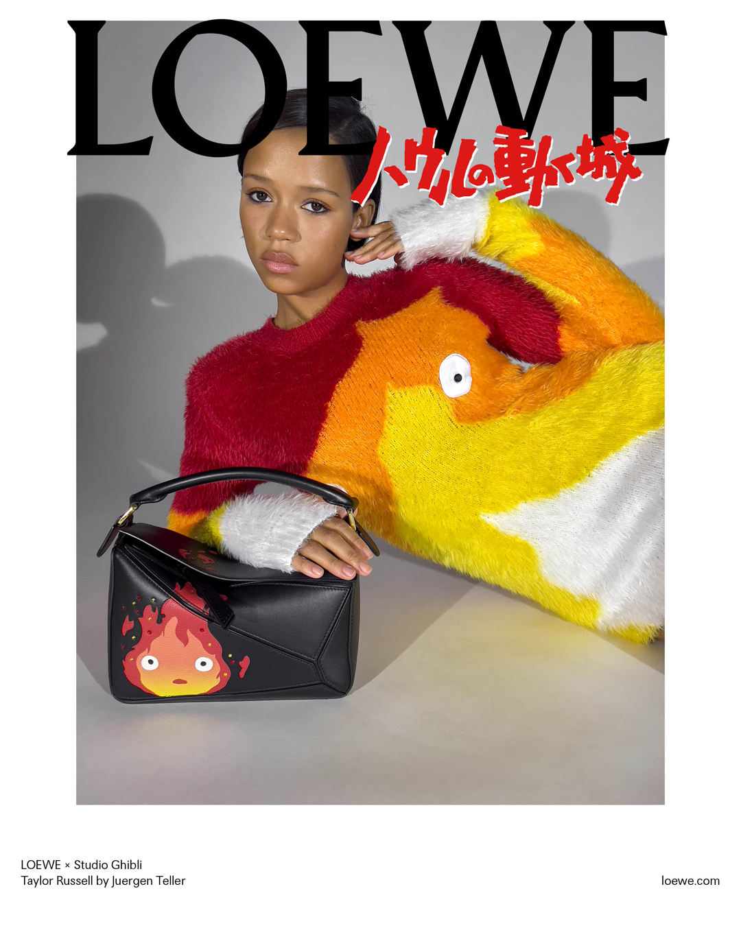 ロエベ LOEWE ハウルの動く城 ドローストリング C822057X23 ジブリ ...