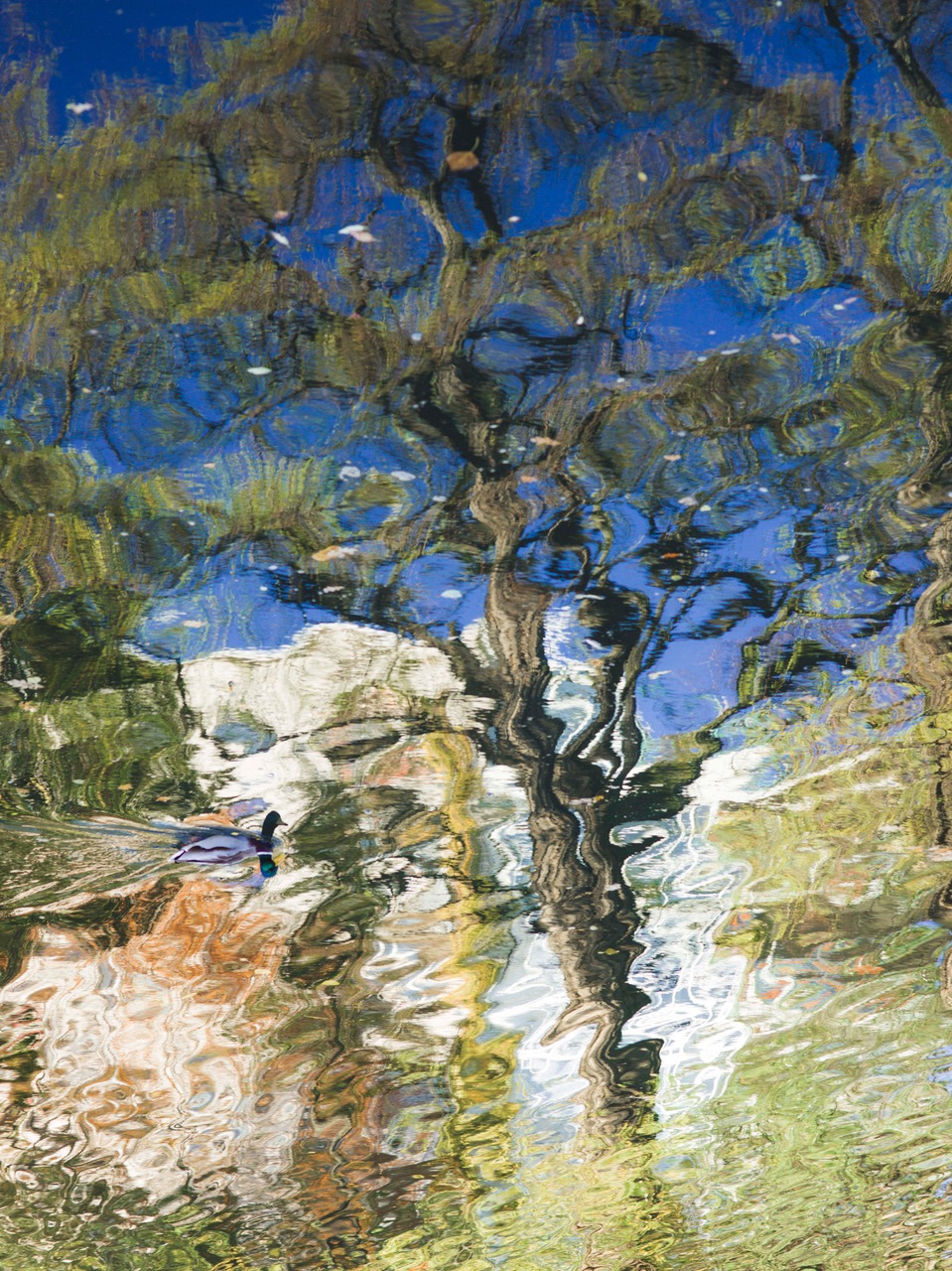 水谷太郎が展示「淼／びょう」を「隙間」で開催 - TOKION