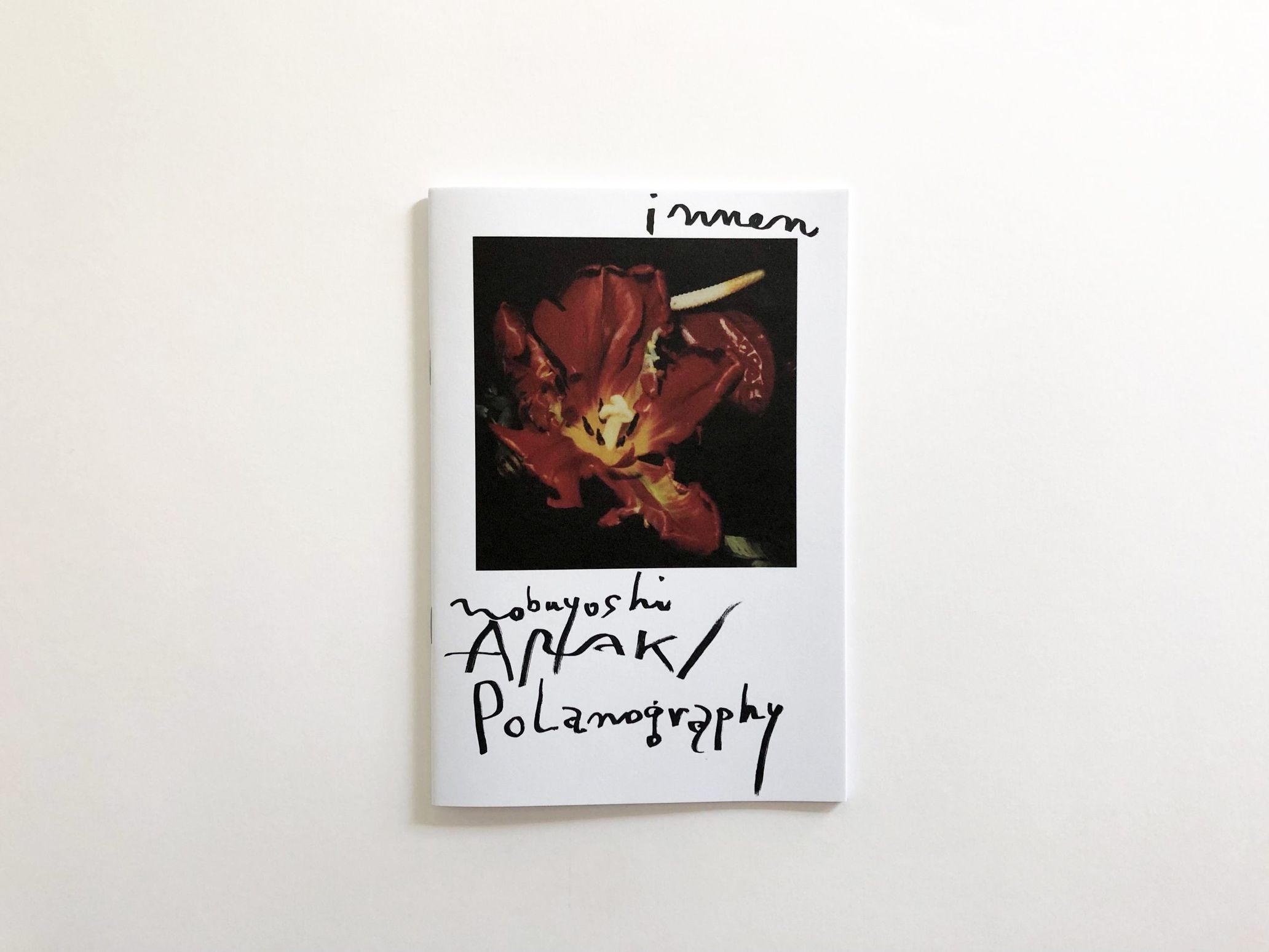 Nobuyoshi Araki, Polanography