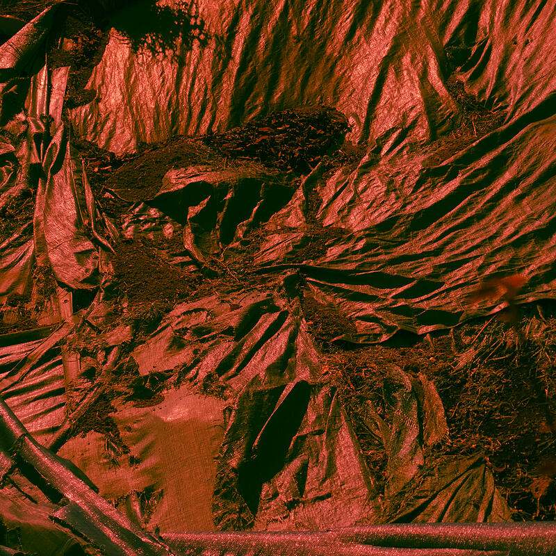 The Present and Eternal Sentiment of Tujiko Noriko, an Artist of