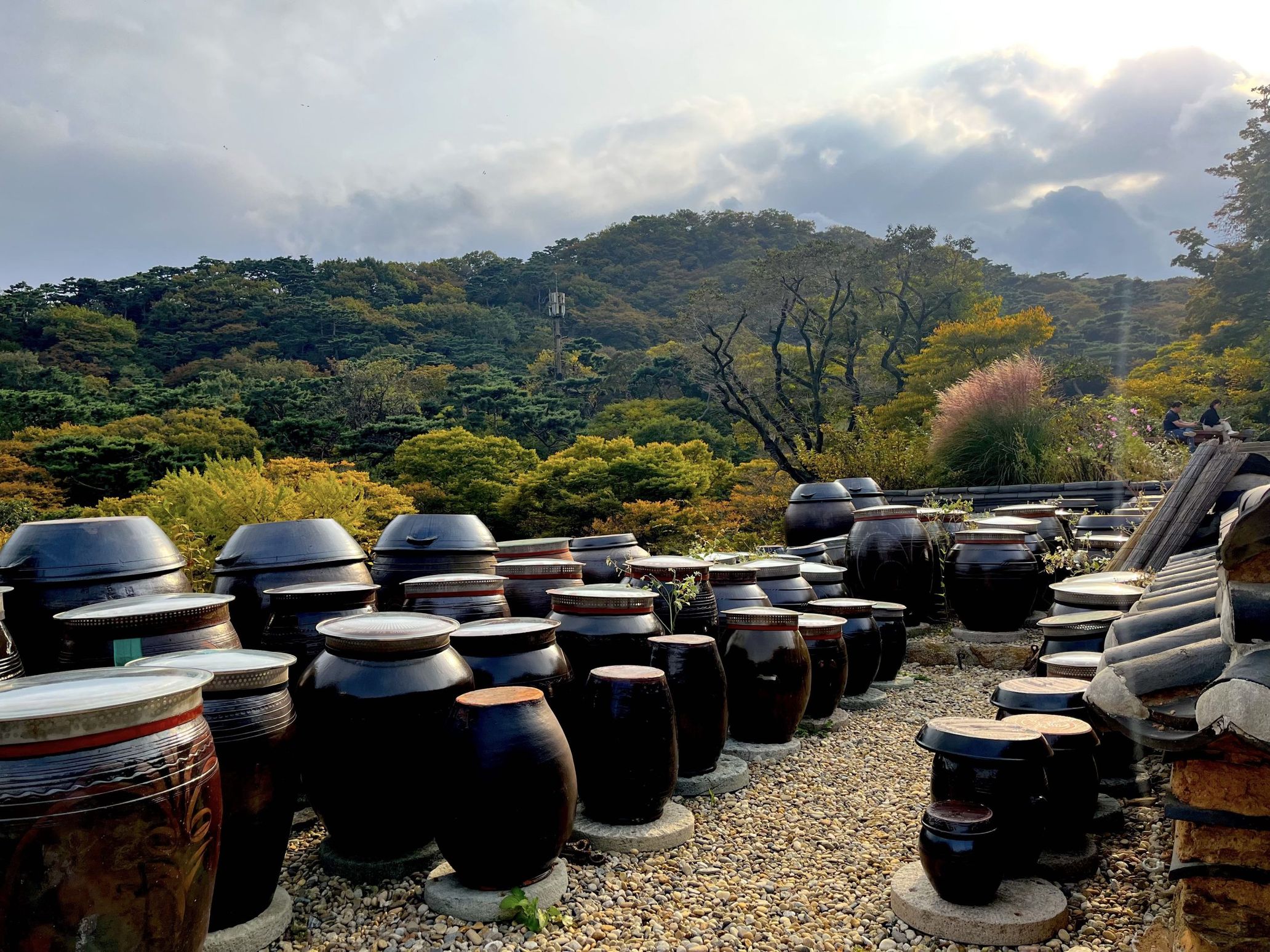 約1600年前に建てられた、韓国仏教の代表的宗派である曹渓宗の総本山「伝灯寺（チョンドゥンサ）」の敷地内に置かれたハンアリ（甕）